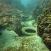 Picture taken during the dive