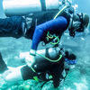 Picture taken during the dive