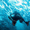 Picture taken during the dive