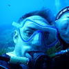Picture taken during the dive