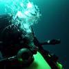 Picture taken during the dive