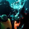 Picture taken during the dive