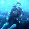 Picture taken during the dive