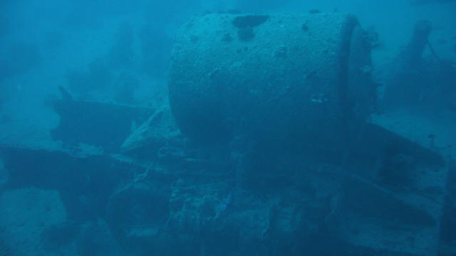 Club Red Divers - Dive Center in Egypt