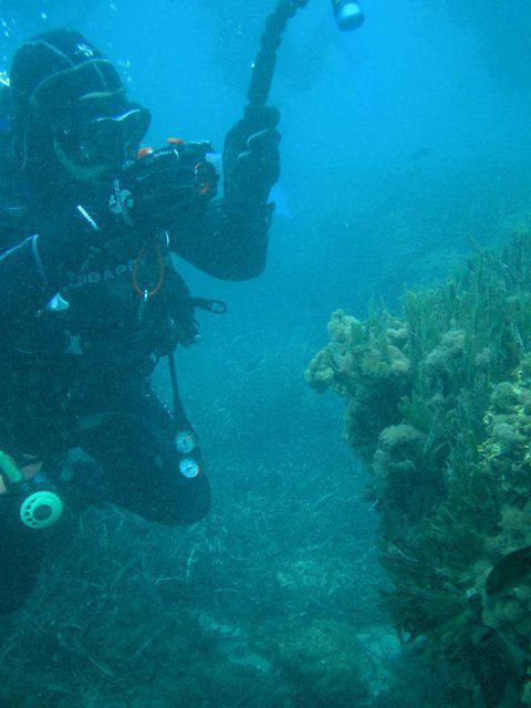 Aquatours Almeria - Dive Center in Spain