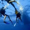 Picture taken during the dive