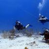 Picture taken during the dive
