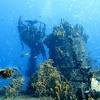 Picture taken during the dive