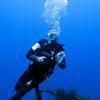 Picture taken during the dive