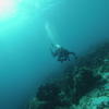 Picture taken during the dive