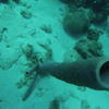 Picture taken during the dive