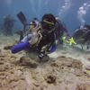 Picture taken during the dive