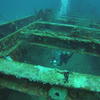 Picture taken during the dive