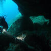 Picture taken during the dive