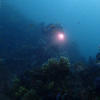 Picture taken during the dive