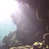 Picture taken during the dive
