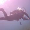 Picture taken during the dive