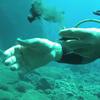 Picture taken during the dive