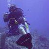Picture taken during the dive