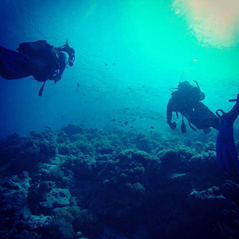 Spanish Dancer Divers - Dive Center