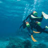 Picture taken during the dive