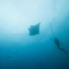 Picture taken during the dive
