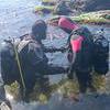 Picture taken during the dive