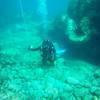 Picture taken during the dive
