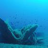 Picture taken during the dive