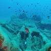 Picture taken during the dive