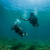 Picture taken during the dive