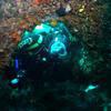 Picture taken during the dive