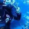 Picture taken during the dive