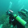 Picture taken during the dive