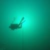 Picture taken during the dive