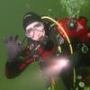 Picture taken during the dive