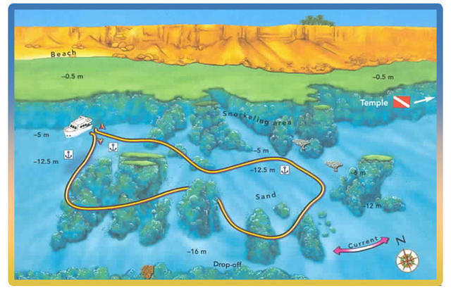 Bubbles Dive Centre - Dive Center
