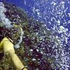 Picture taken during the dive