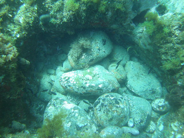 Centro Buceo Alpha - Dive Center in Spain