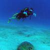 Picture taken during the dive