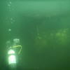 Picture taken during the dive