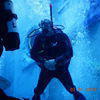 Picture taken during the dive