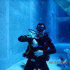 Picture taken during the dive