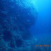 Picture taken during the dive