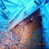Picture taken during the dive