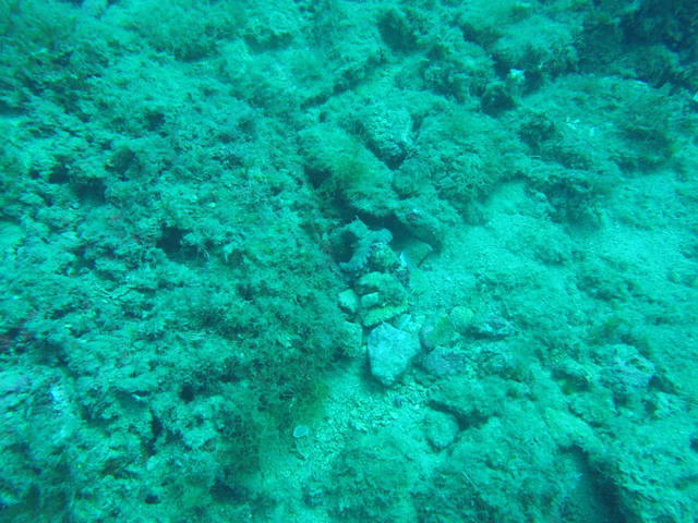 Dive Systems (ws), Ltd. - Dive Center in 马耳他