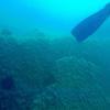 Picture taken during the dive