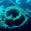 Picture taken during the dive