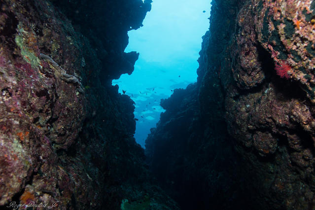 Tsunami Scuba - Dive Center