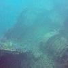 Picture taken during the dive